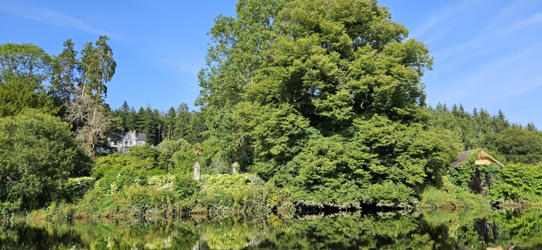 Bois du Duc