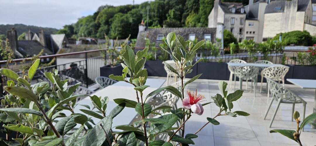 Terrasse Rooftop KLK